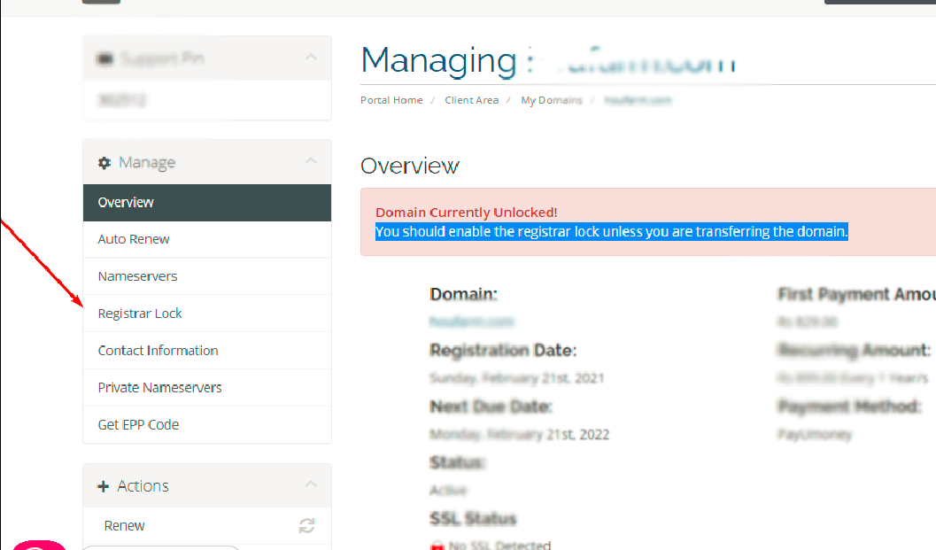 Unlock Your domain to transfer 