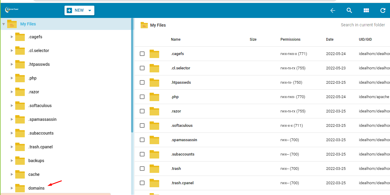click on domain from file manager